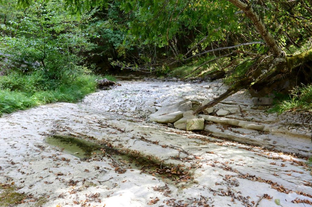 Ululone appenninico...una siccit da sfruttare